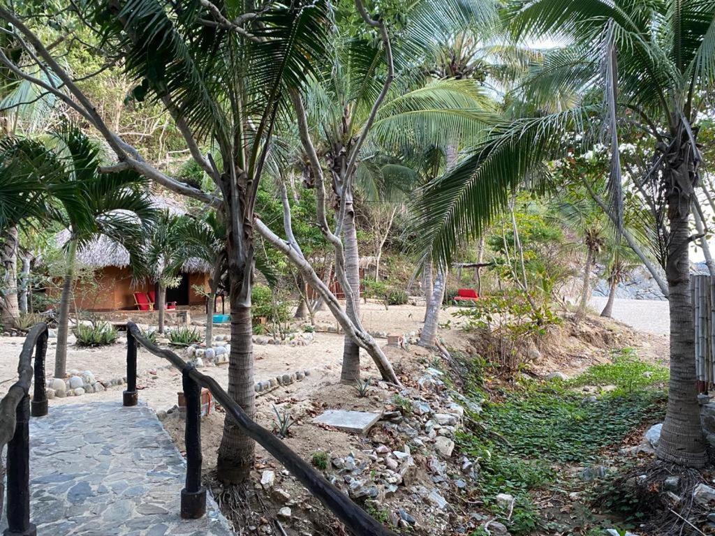 Hotel Bahia De La Luna Arroyo Cruz Luaran gambar