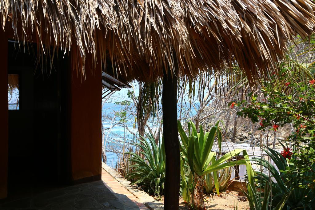 Hotel Bahia De La Luna Arroyo Cruz Luaran gambar