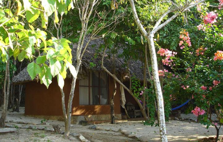 Hotel Bahia De La Luna Arroyo Cruz Bilik gambar